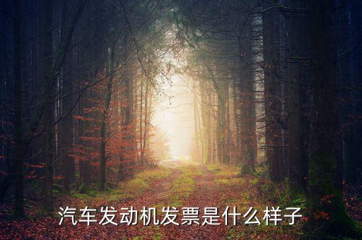 國稅出的機動車發(fā)票是什么樣的，汽車發(fā)動機發(fā)票是什么樣子