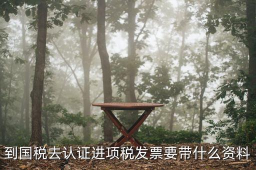 常州國稅認證發(fā)票需要帶什么，到國稅認證發(fā)票時需要帶什么資料
