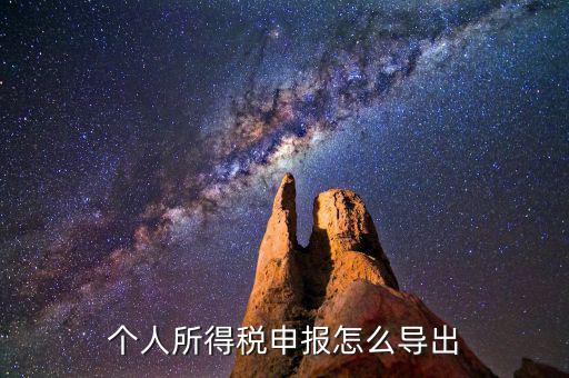 個人所得稅申報(bào)怎么導(dǎo)出