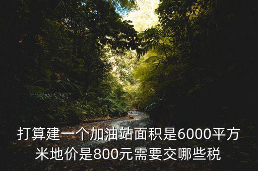 加油站都繳什么稅，打算建一個加油站面積是6000平方米地價是800元需要交哪些稅