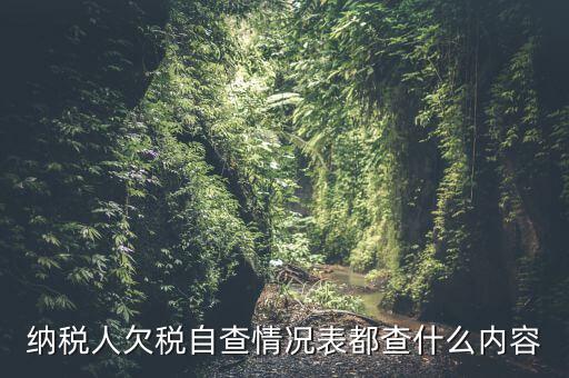 重點納稅人走訪情況表是什么，納稅人自查情況說明表里各項都填什么
