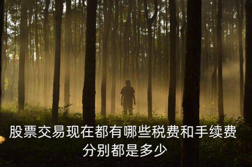 賣出股票要交什么稅，營(yíng)改增后企業(yè)買賣股票應(yīng)按照什么稅目繳納增值稅