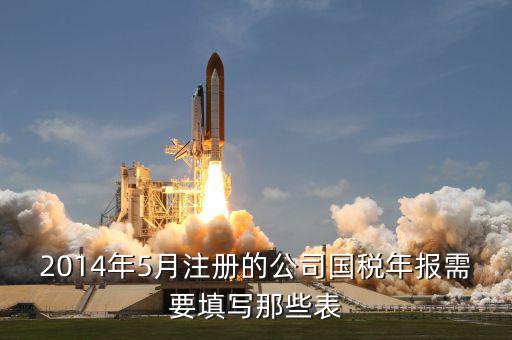 國(guó)稅年度申報(bào)填什么表，國(guó)稅年度報(bào)表怎么填啊