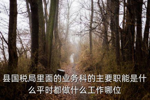 什么是稅政工作，縣國(guó)稅局里面的業(yè)務(wù)科的主要職能是什么平時(shí)都做什么工作哪位