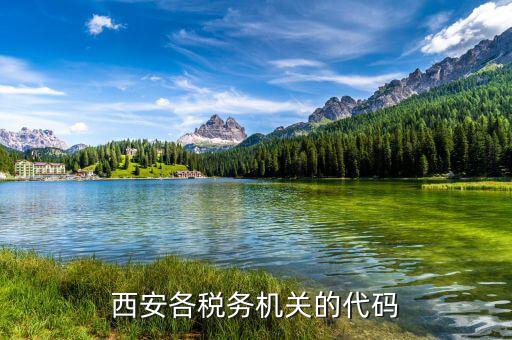 西安各稅務機關的代碼