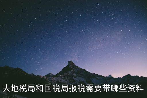 到國(guó)稅報(bào)稅需要什么，去地稅局和國(guó)稅局報(bào)稅需要帶哪些資料