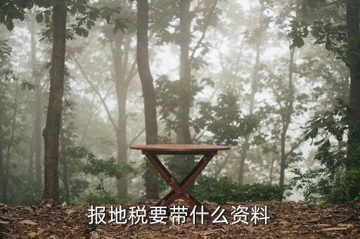 報地稅要帶什么資料，地稅報稅需要什么資料