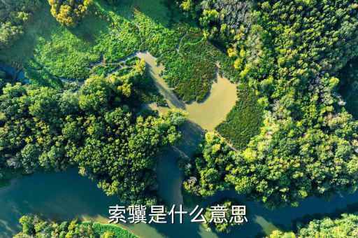 jsfapiaocn什么意思，索驥是什么意思