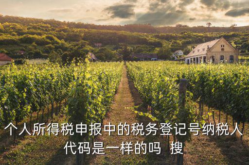 什么是個人稅務(wù)號，個人所得稅申報中的稅務(wù)登記號納稅人代碼是一樣的嗎  搜