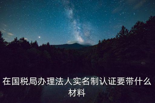 服務(wù)廳實名辦稅要帶什么，服務(wù)業(yè)辦稅務(wù)登記要些什么證件