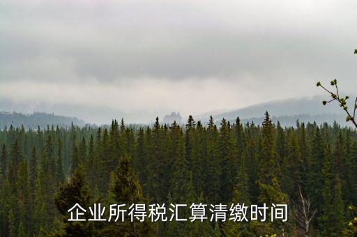 匯算清繳什么時(shí)候，個(gè)人所得稅匯算清繳的時(shí)間一定是次年的3月31日前
