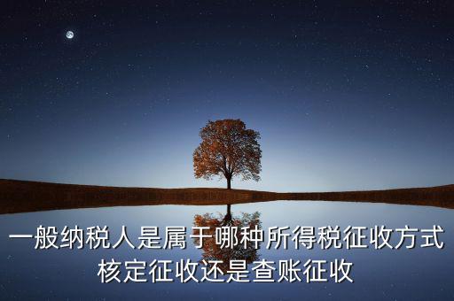 一般納稅人屬于什么，什么是一般納稅人