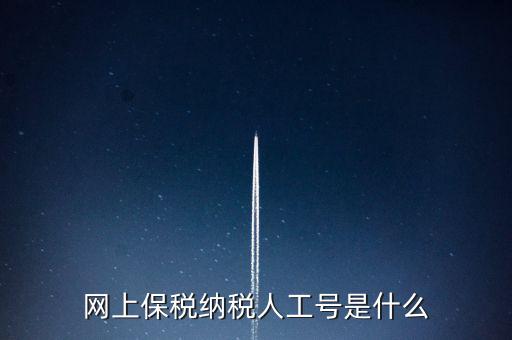 網上保稅納稅人工號是什么