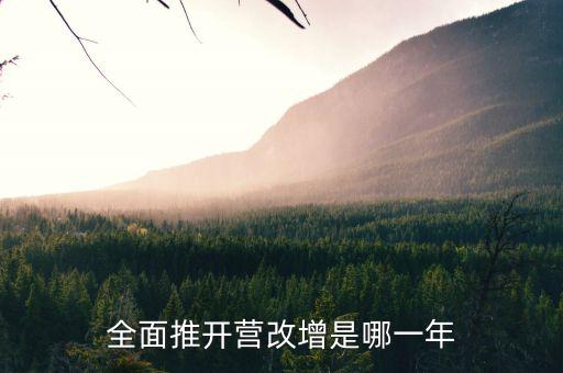 17年營改增改了什么時候，全面推開營改增是哪一年