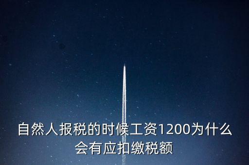 自然人報稅為什么，自然人辦稅服務(wù)平臺實名注冊的目的是什么