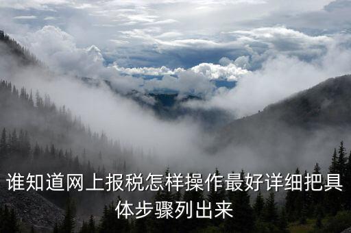 成品油消費稅在什么系統(tǒng)申報，請教網(wǎng)上報稅步驟謝謝大家了