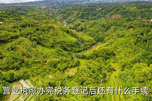 稅務(wù)登記以后需要什么，公司設(shè)立后辦理稅務(wù)登記要準(zhǔn)備哪些資料