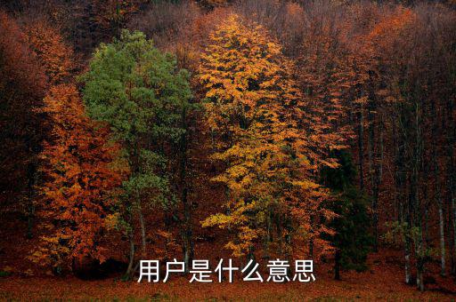 稅局用戶(hù)是什么意思，國(guó)稅局發(fā)票軟件里用戶(hù)代碼和密碼是什么