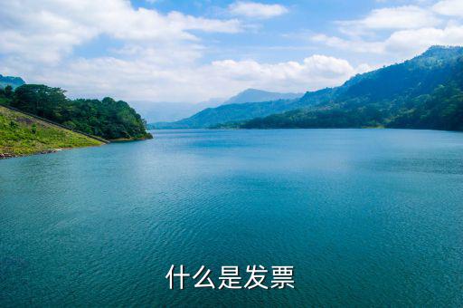 默認(rèn)發(fā)票是什么，蘇寧天貓旗艦店默認(rèn)開取什么發(fā)票