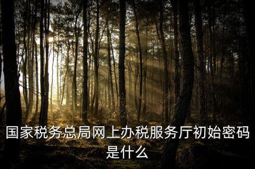 江蘇地稅登錄密碼是什么意思，江蘇地稅開票密碼是多少