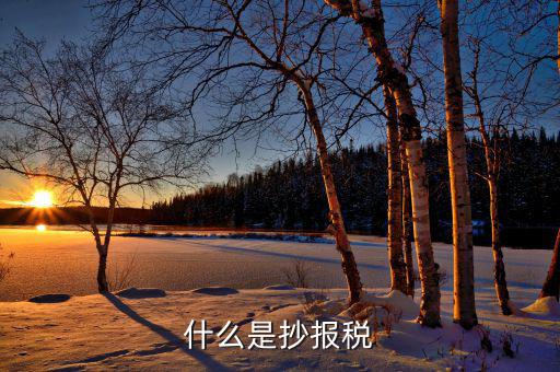 什么是抄稅報稅申報，抄稅和報稅是什么意思 應該怎么做呢