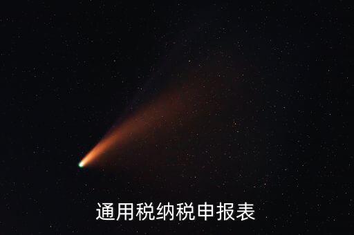 通用申報表稅什么意思，通用稅納稅申報表