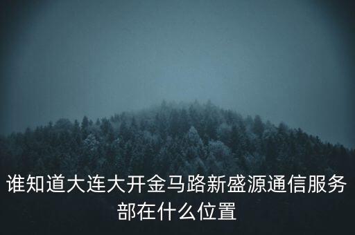 信息服務(wù)部可以叫什么地方，誰知道大連大開金馬路新盛源通信服務(wù)部在什么位置