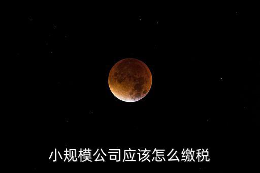 小規(guī)模公司按什么交稅嗎，一個(gè)小規(guī)模納稅公司國(guó)稅和地稅應(yīng)該都分別交什么稅