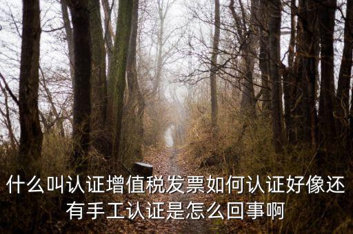 什么叫發(fā)票認(rèn)證，什么叫認(rèn)證增值稅發(fā)票如何認(rèn)證好像還有手工認(rèn)證是怎么回事啊