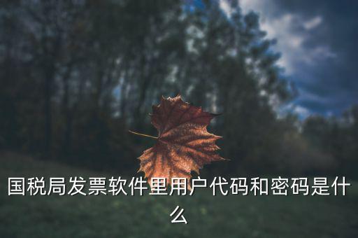 查詢發(fā)票要密碼是什么，國稅局發(fā)票軟件里用戶代碼和密碼是什么