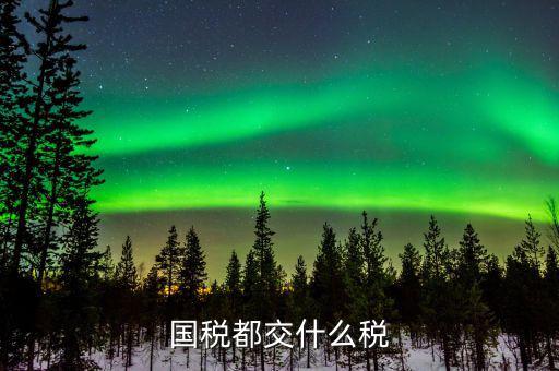 國稅稅費(fèi)是什么，國稅都交什么稅