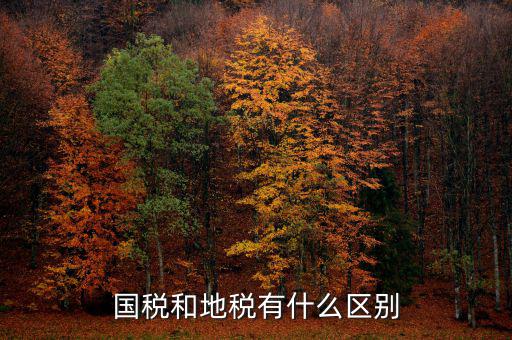 內地稅是什么，請問地稅開的是什么發(fā)票國稅開的又是哪些發(fā)票比如說增值稅發(fā)