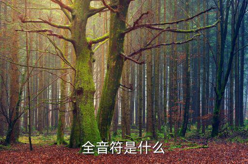 一戶式是什么，服裝SKU是指什么有什么實(shí)際應(yīng)用意義