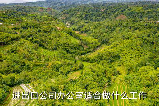 會(huì)做進(jìn)出口公司審批備案的找什么工作，進(jìn)出口企業(yè)備案怎么弄找哪個(gè)部門(mén)