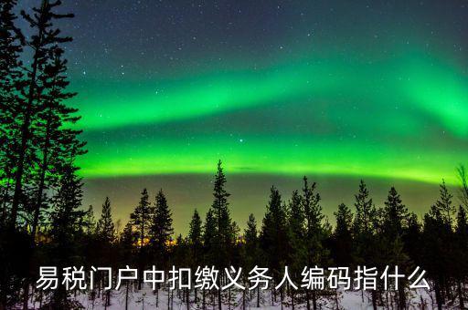 扣繳義務(wù)人識(shí)別碼是什么，易稅門戶中扣繳義務(wù)人編碼指什么