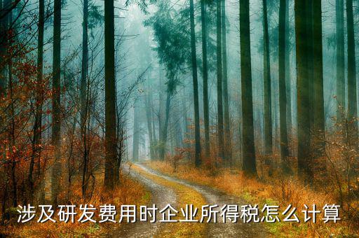 涉及研發(fā)費(fèi)用時企業(yè)所得稅怎么計算