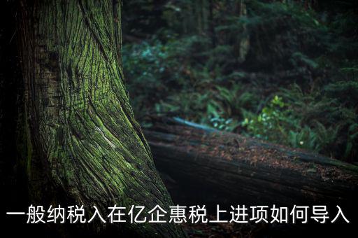 易企惠稅是什么軟件，我們公司就一個百旺金賦的稅控盤和億企惠稅的網(wǎng)上申報(bào)系統(tǒng)每月怎么
