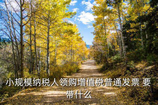 領(lǐng)增值稅普通發(fā)票需要什么資料，小規(guī)模納稅人領(lǐng)購(gòu)增值稅普通發(fā)票 要帶什么