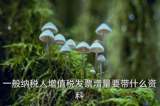 增加開票人需要什么資料，申請開票人變更需要哪些材料