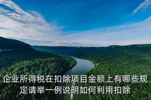 扣除項(xiàng)目金額是什么，應(yīng)稅服務(wù)扣除項(xiàng)目清單中允許扣除項(xiàng)目金額指的是什么是總