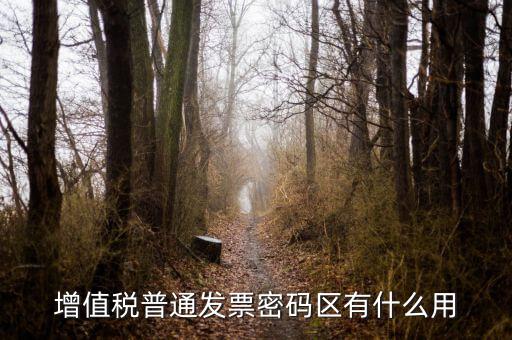 北京國稅發(fā)票密碼區(qū)是什么意思，新版發(fā)票密碼區(qū)包括什么內(nèi)容