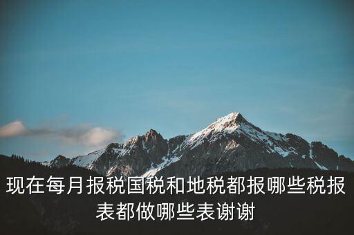 國稅報什么，現(xiàn)在每月報稅國稅和地稅都報哪些稅報表都做哪些表謝謝