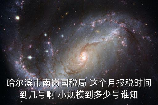 哈爾濱網上報稅什么時間，哈爾濱網絡公司報稅流程