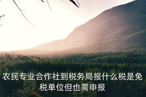 合作社應(yīng)報(bào)什么稅，農(nóng)民專(zhuān)業(yè)合作社是怎樣報(bào)稅的是企業(yè)還是個(gè)體戶(hù)
