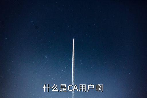 稅務(wù)總局ca系統(tǒng)是什么意思，Ca是什么
