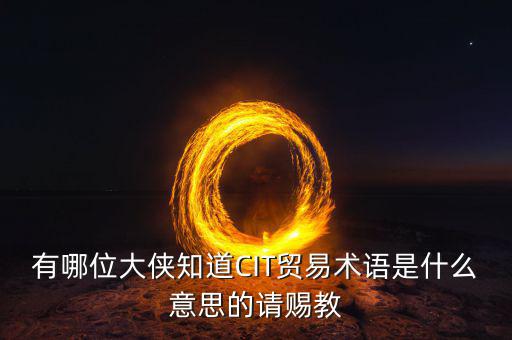 有哪位大俠知道CIT貿(mào)易術(shù)語(yǔ)是什么意思的請(qǐng)賜教