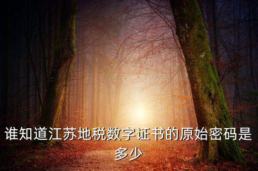 江蘇地稅登錄密碼是什么，江蘇地稅開票密碼是多少