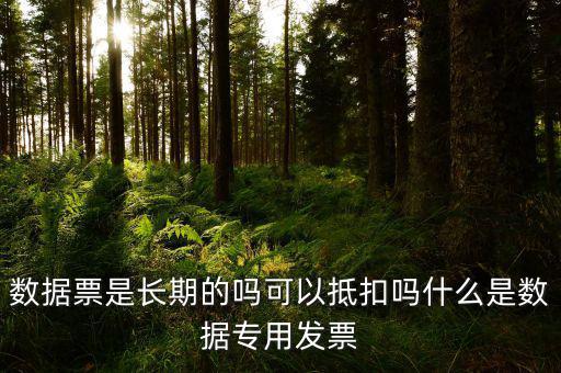 什么是增值稅數(shù)據(jù)票，數(shù)據(jù)發(fā)票是什么意思