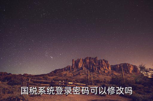 如何修改國稅申報登錄密碼是什么意思，國稅網(wǎng)上申報密碼忘記了怎么重設(shè)