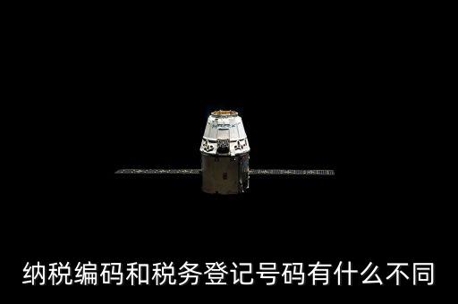 個(gè)人納稅編號(hào)是什么意思，納稅編碼和稅務(wù)登記號(hào)碼有什么不同